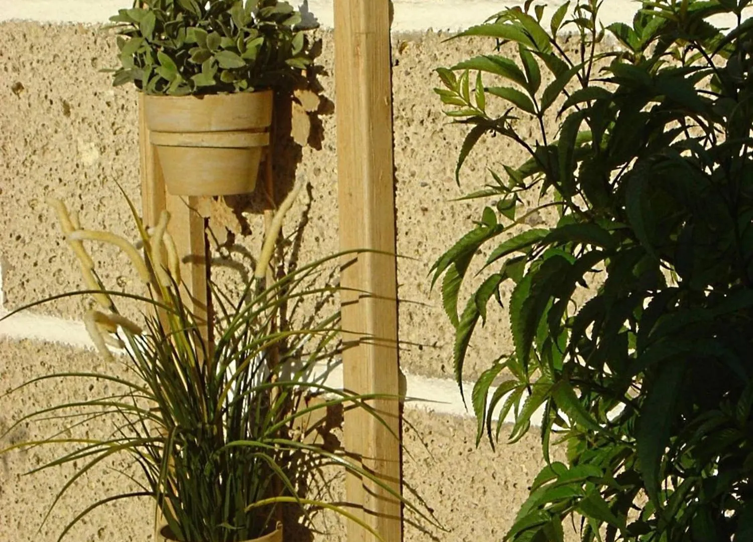 Casa Sarita - Exclusive Retreat In The Sun-Drenched South Of Tenerife ספרד